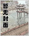 小說鄉村神醫